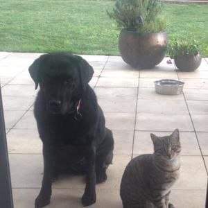 Meet your Posher, Karen